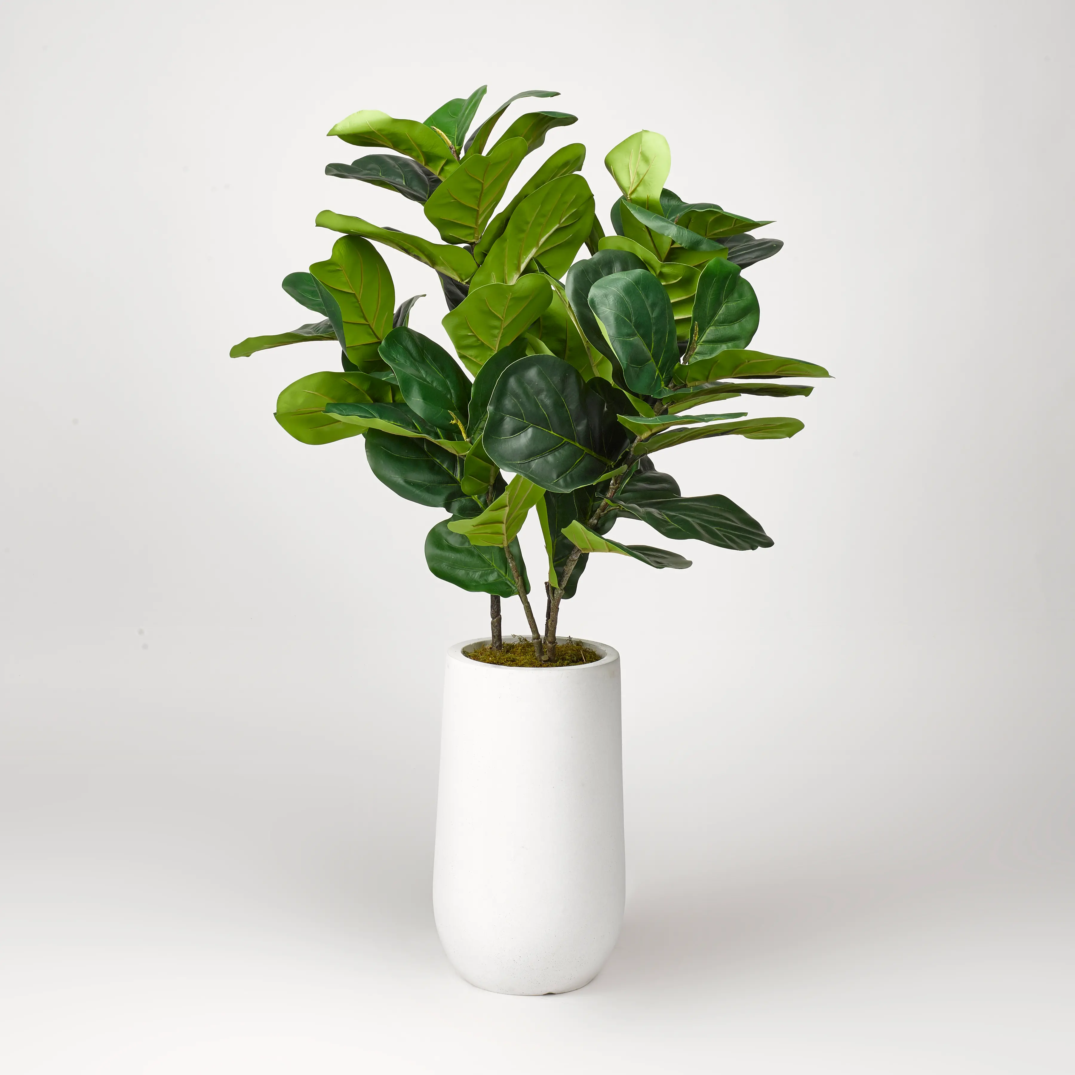Faux Green Fiddle Leaf Fig Arrangement in White Planter-1
