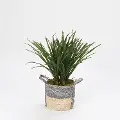 Faux Areca Green Grass Arrangement in Gray Basket