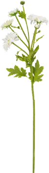 90991020B48 Magnolia Home Furniture White Faux Daisy Stem for Arrangement