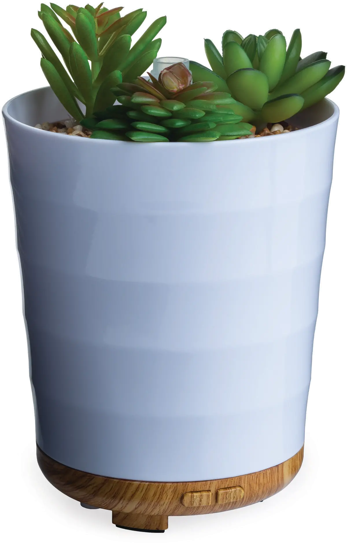 White Potted Faux Succulent Medium Airome Oil Diffuser-1