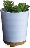 White Potted Faux Succulent Medium Airome Oil Diffuser
