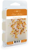 Citrus Grove 2.5oz Artisan Wax Melt