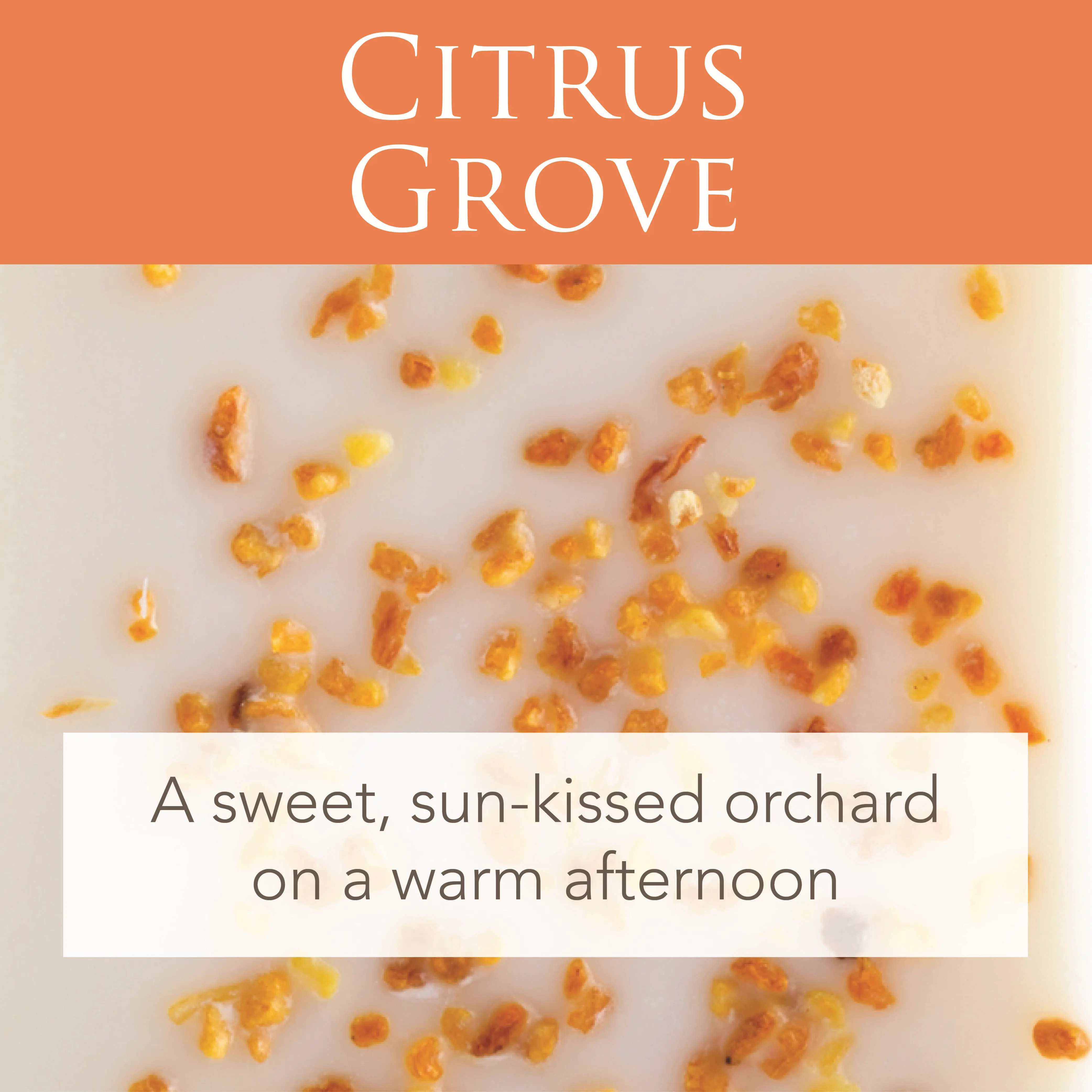 Citrus Grove 2.5oz Artisan Wax Melt-2