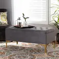 162-10462-RCW Glam Gray Velvet Upholstered Storage Ottoman - Gorden