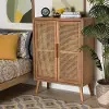 162-10554-RCW Mid Century Modern Rattan 2 Door Accent Cabinet - Trudi