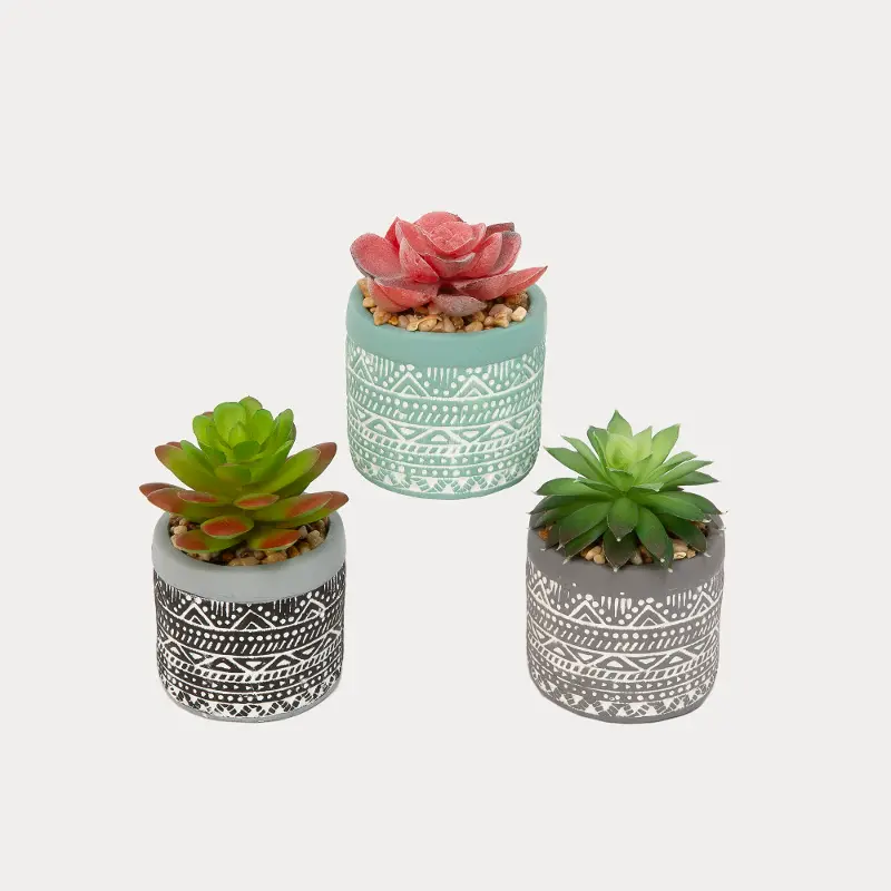 Assorted 3 Inch Potted Artificial Succulent Arrangement