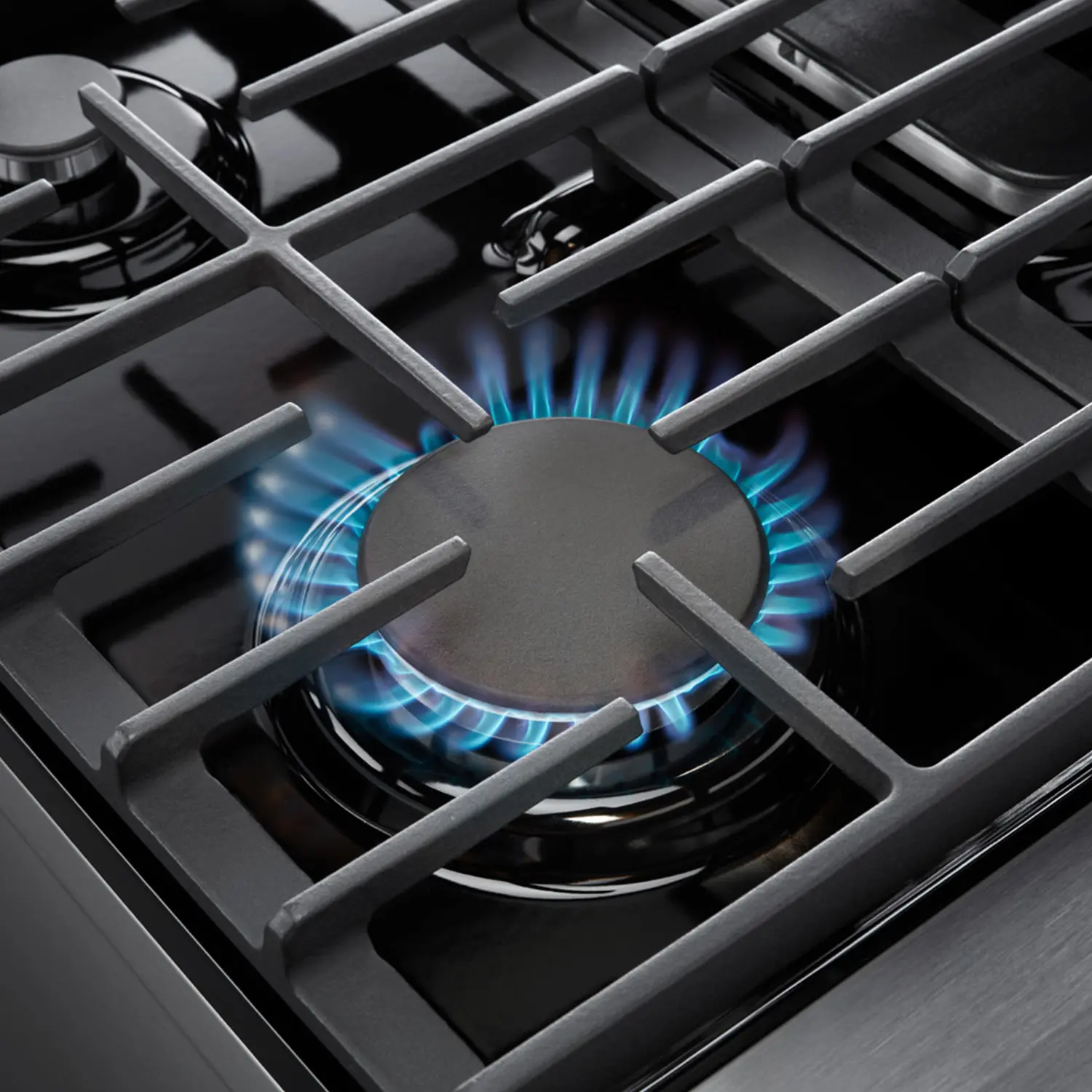 Thor Professional 4.55 cu ft Gas Range - Stainless Steel-5