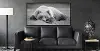 Black and White Bedroom Eyes Fine Art Print in Black Floater Frame