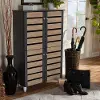 152-9174-RCW Modern Two Tone Oak and Dark Gray 4 Door Shoe Storage Cabinet - Thom