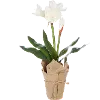 White 23 Inch Real Touch Potted Flower Arrangement
