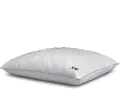 15332115 Sealy Conform Multi Comfort Standard Pillow