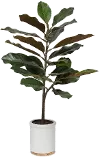 31  Potted Faux Magnolia Plant Arrangement