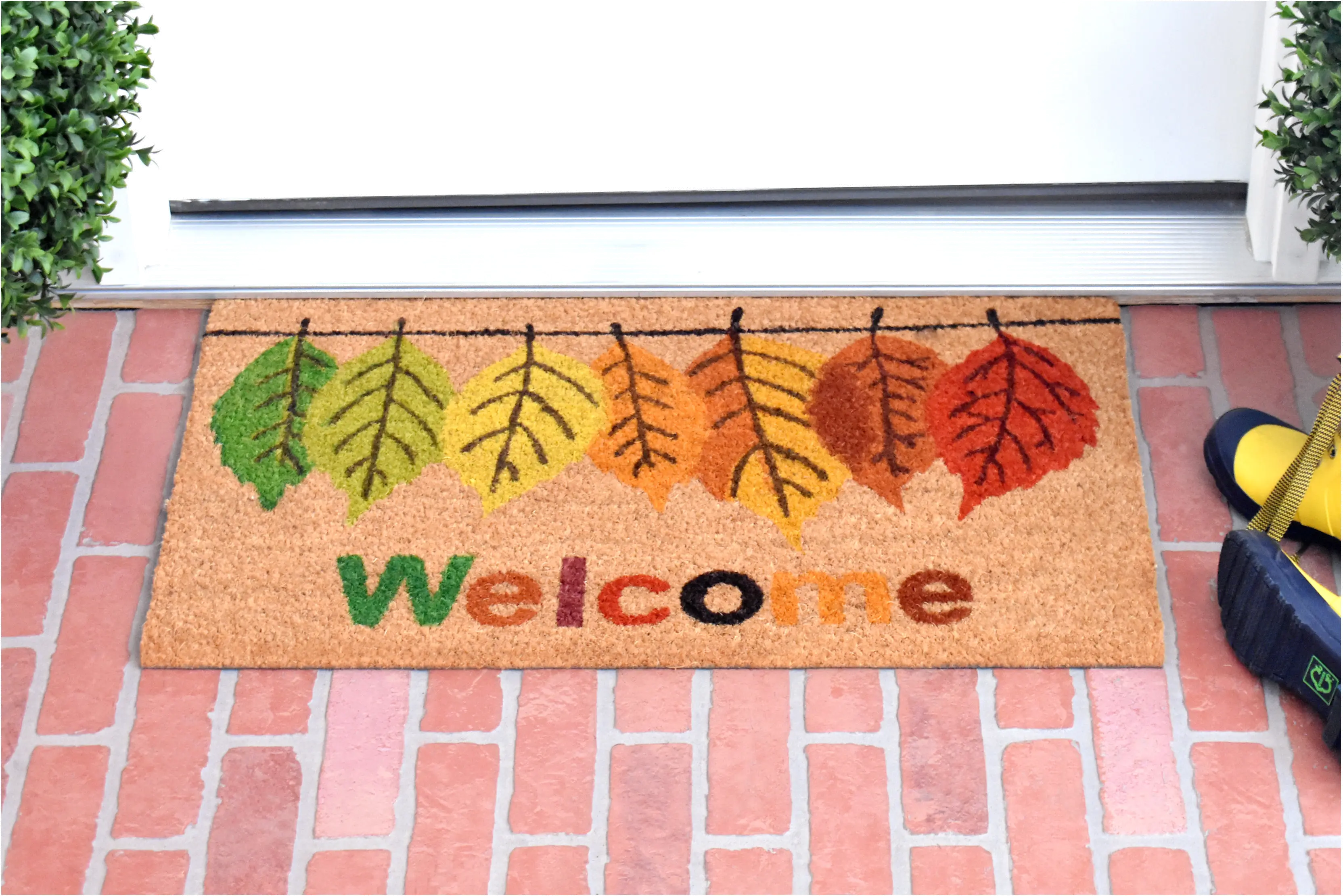 104801729 Fall Colors Doormat-2