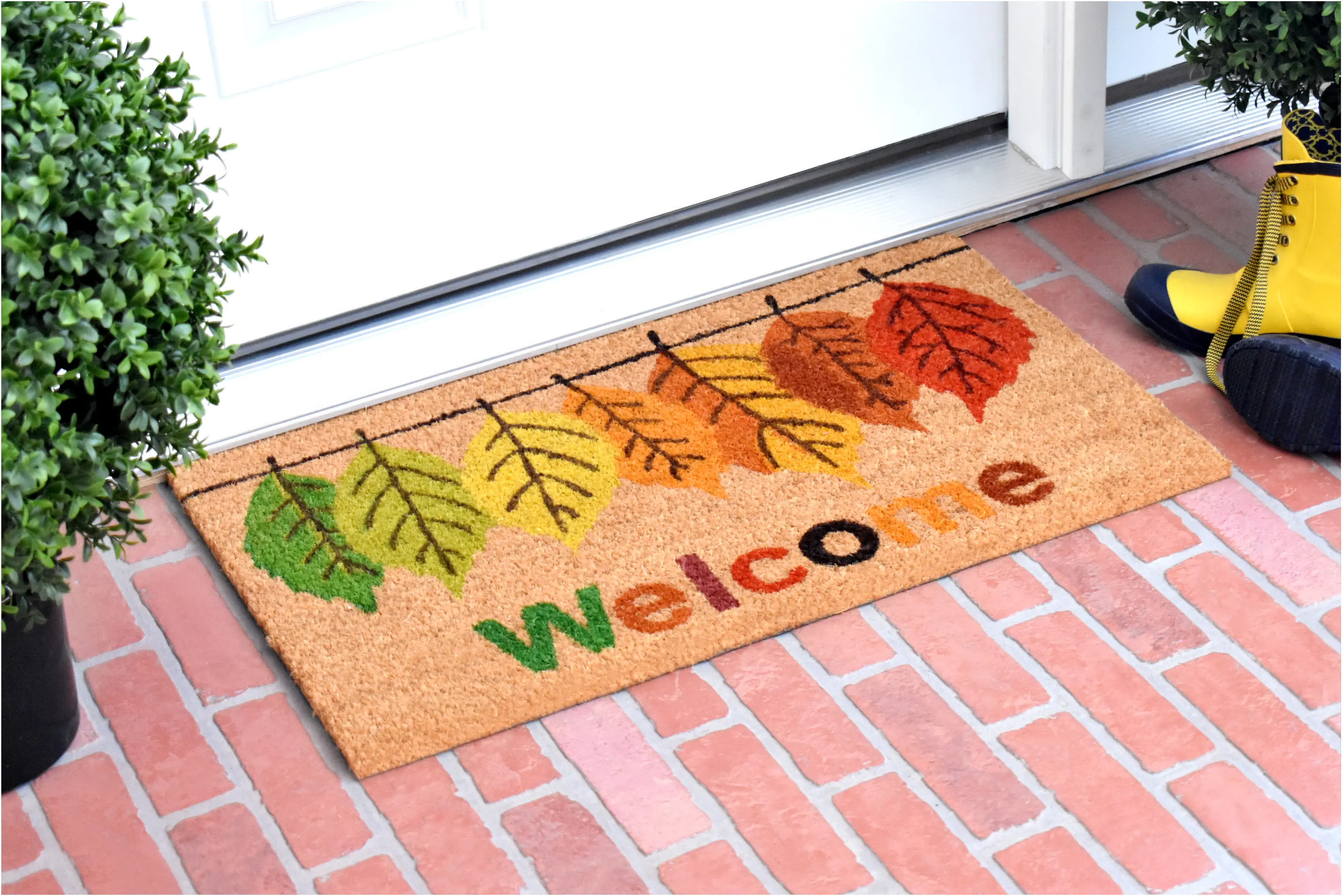 104801729 Fall Colors Doormat-3