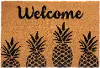 104991729 Pineapple Express Doormat