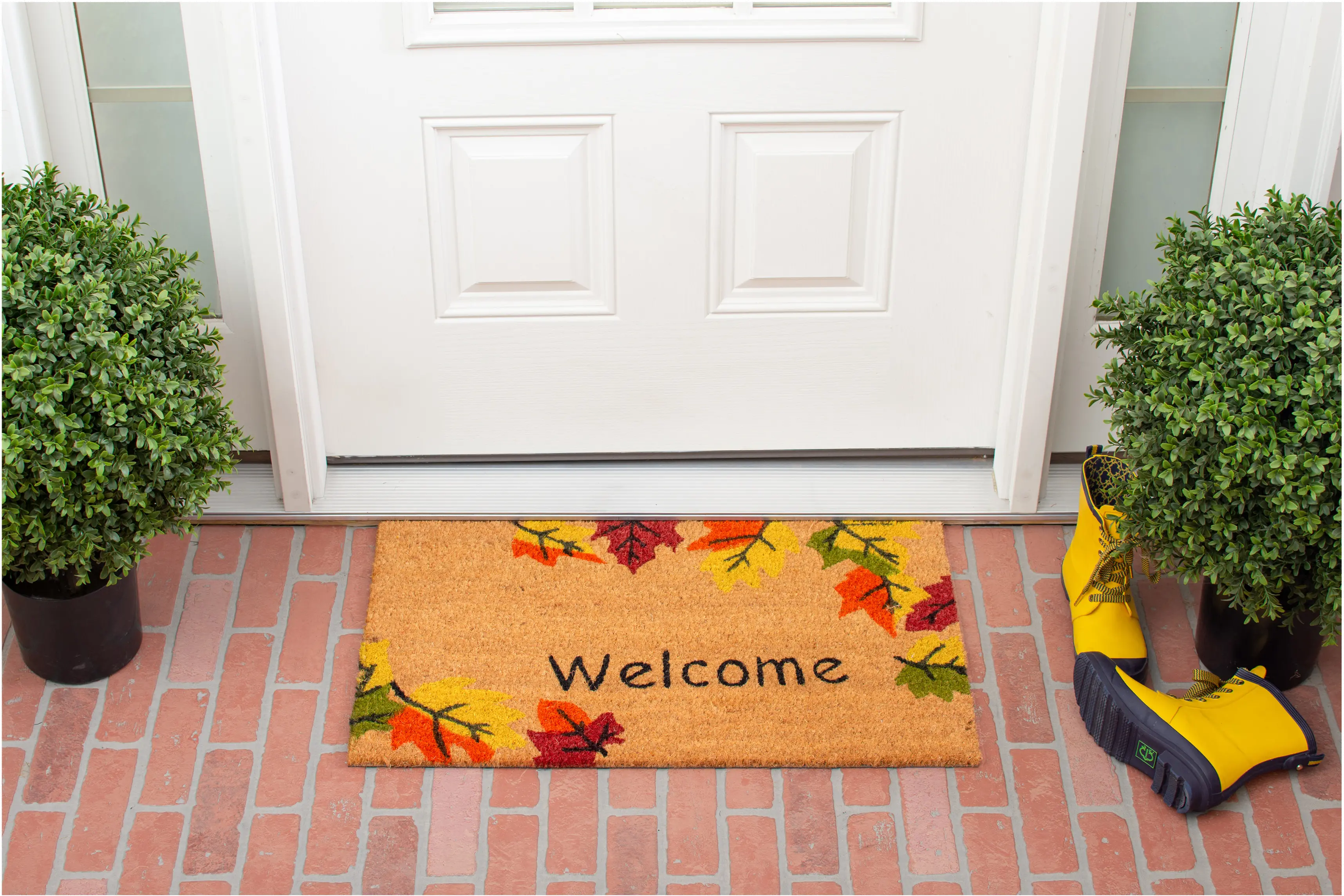 120941729 Autumn Breeze Doormat-2