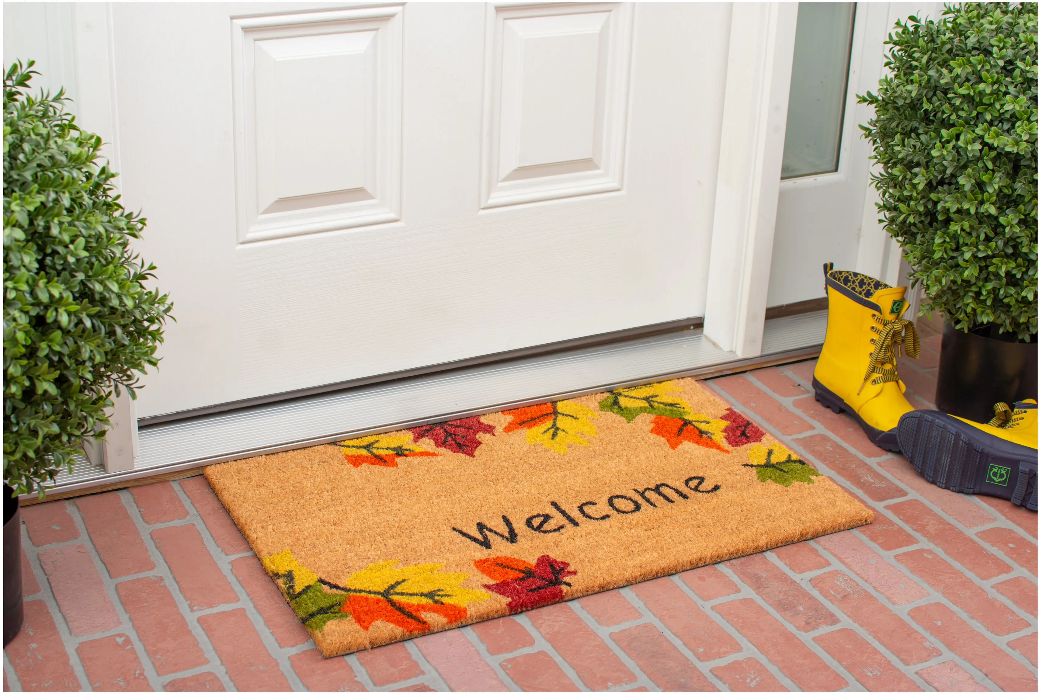 120941729 Autumn Breeze Doormat-3