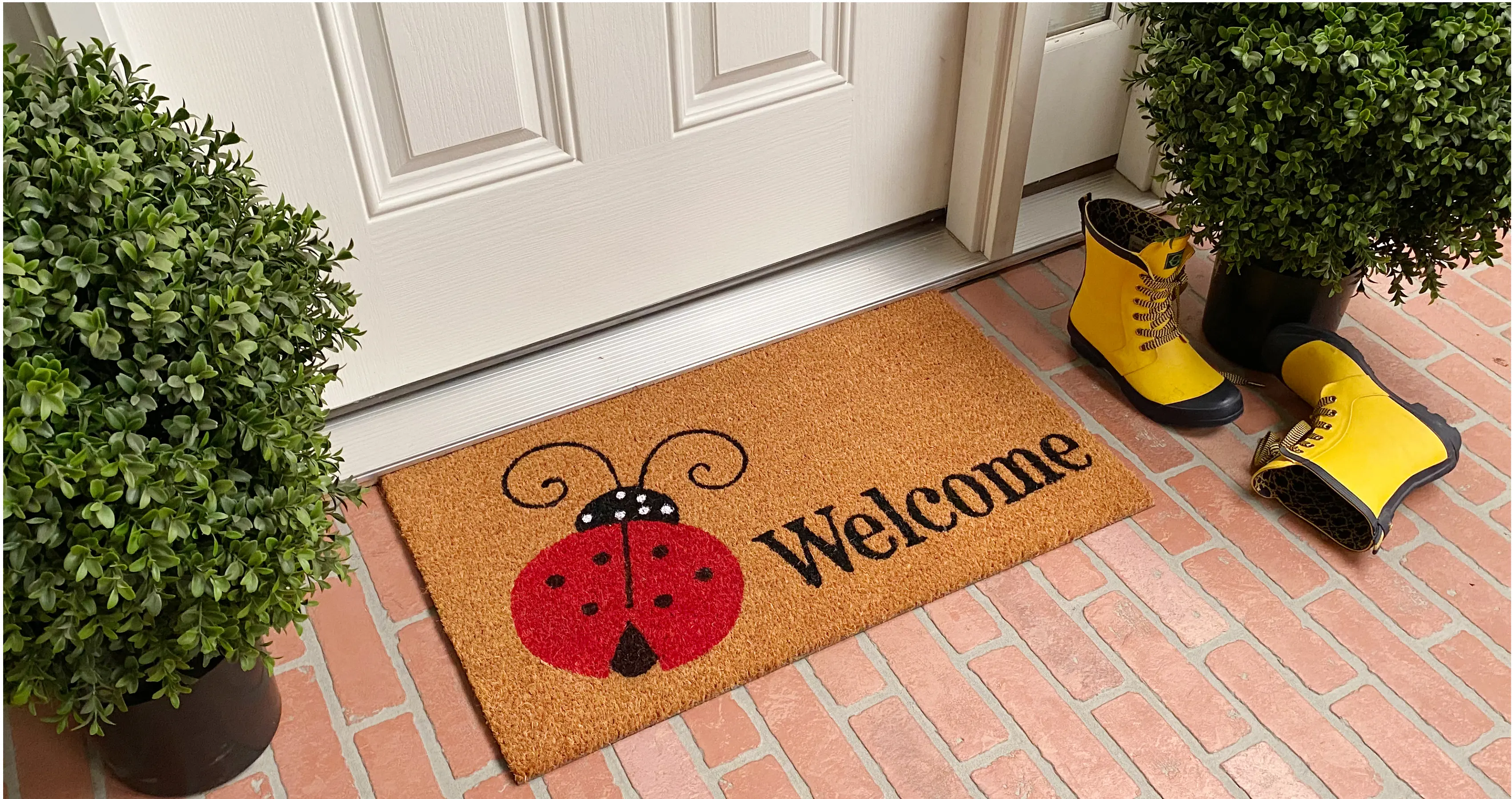 121432436 Ladybug Welcome Doormat-2