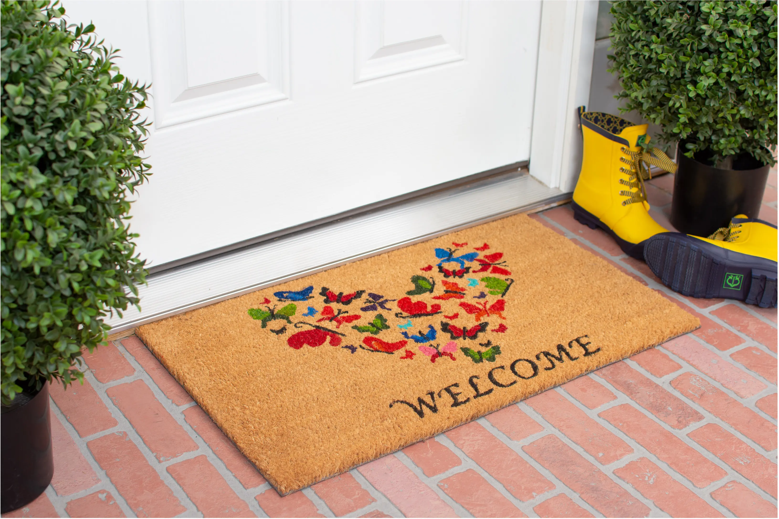 121801729 Butterfly Love Welcome Doormat-4