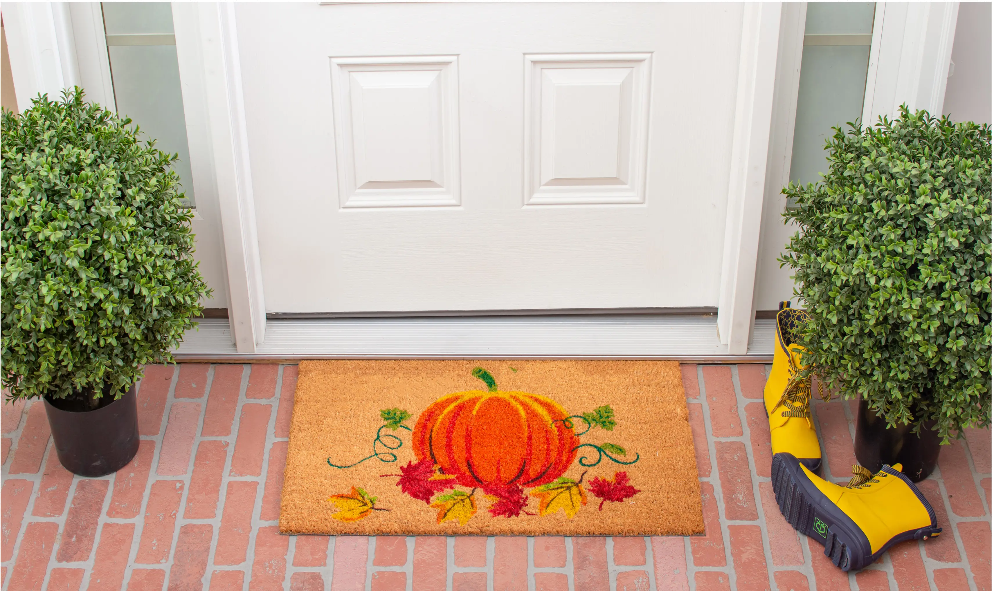 121981729 Nature's Bounty Doormat-2