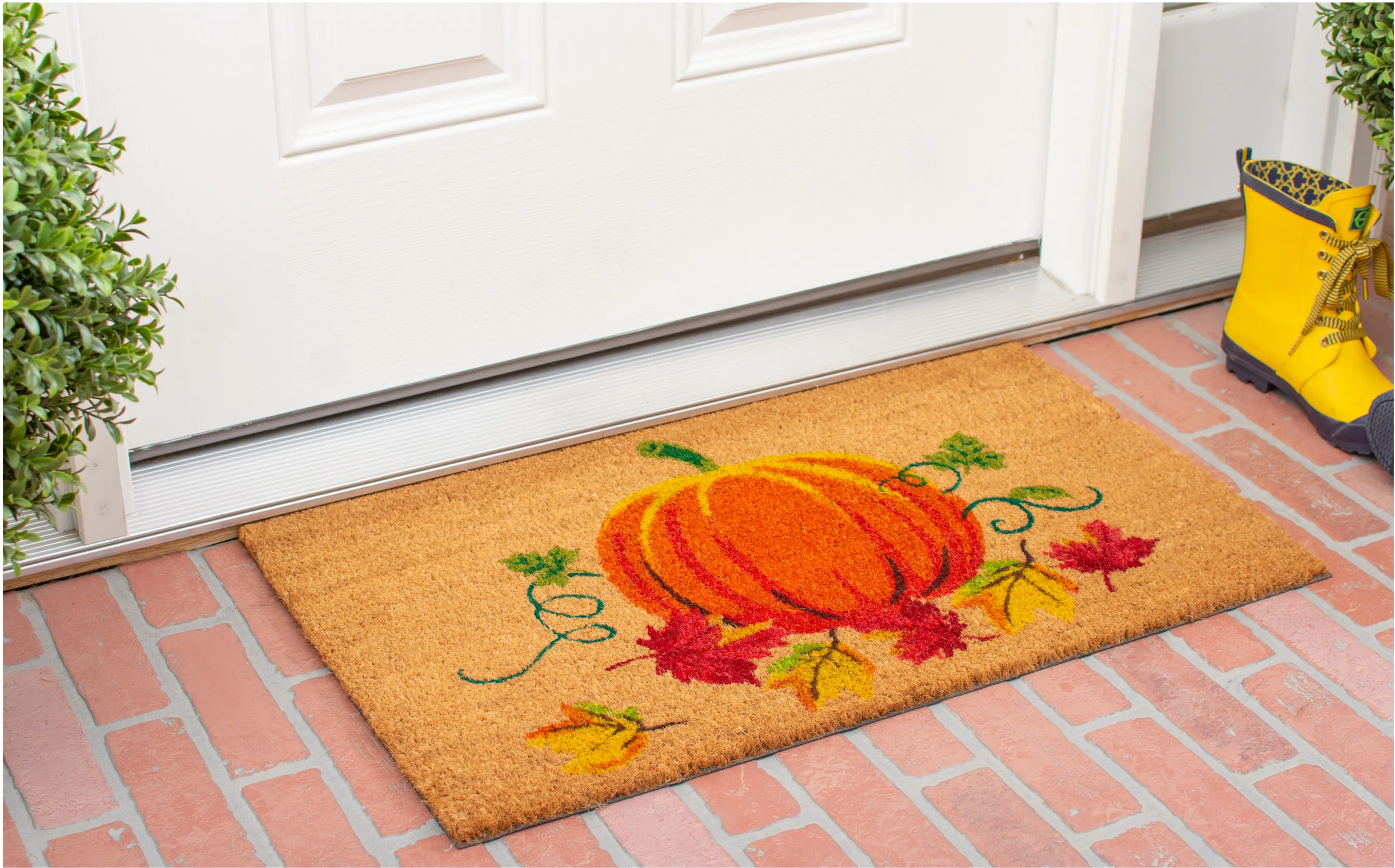 121981729 Nature's Bounty Doormat-3