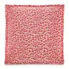 Bonita-Fushia Square Box Pillow