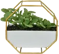Faux Greenery in White and Gold Planter