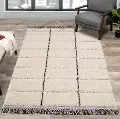 Novato 5 x 8 Contemporary Square Cream Shag Rug