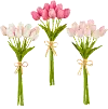 15  Tulip Bundle