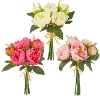 10  Peony Bundle