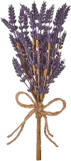 13  Lavender Bundle