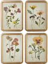 Assorted 18  Botanical Framed Print