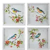 Assorted 12  Watercolor Bird Framed Prints