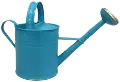 Farmhouse Charm Blue Watering Can