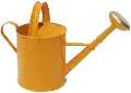 Farmhouse Charm Orange Watering Can