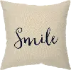Script Neutral Accent Smile Pillow