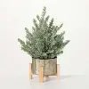 Decorative Tree in Footed Planter