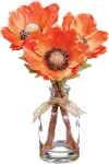 8.5  Orange Anemone In Glass Vase