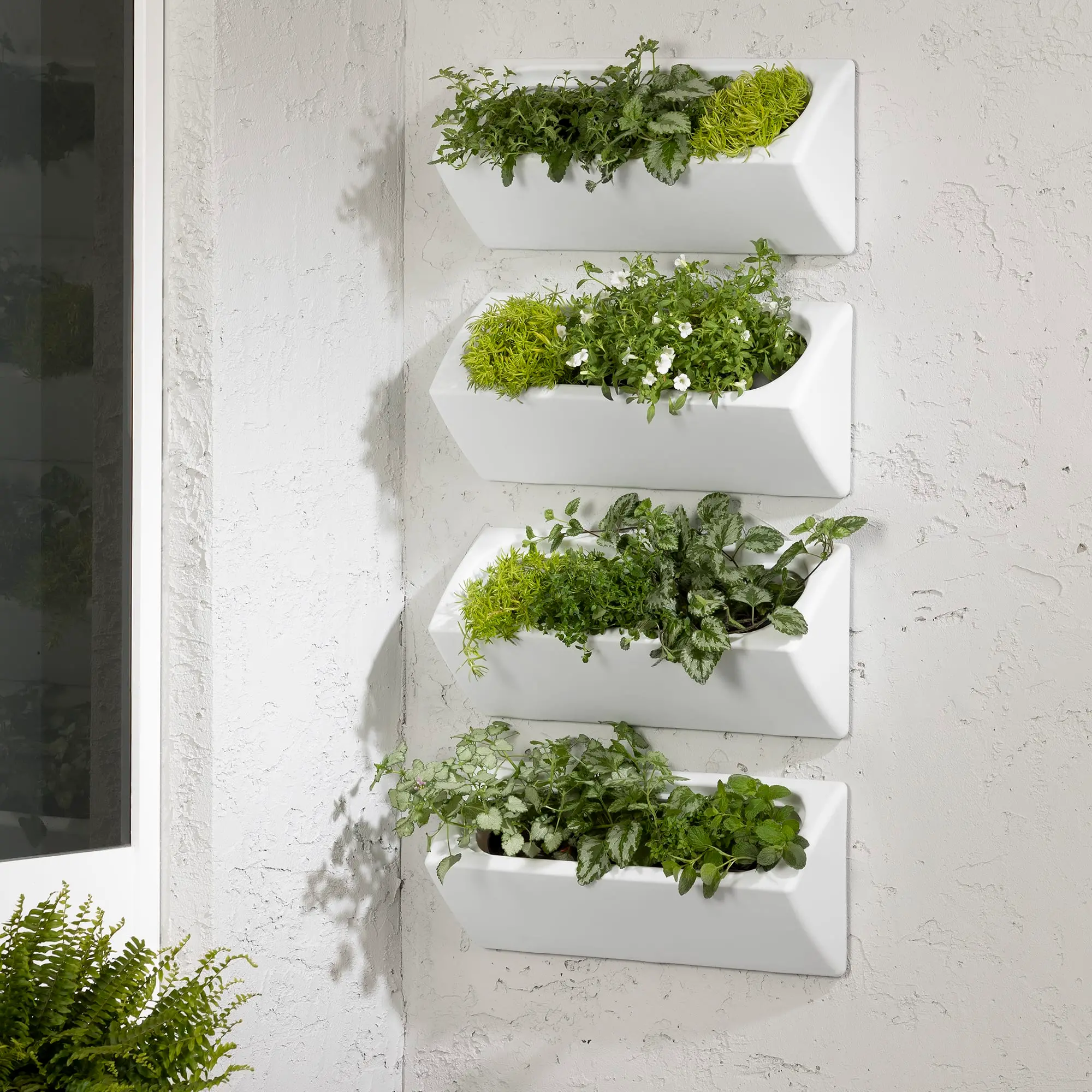 13801 Dalya White Wall Planters, Set of 4-2