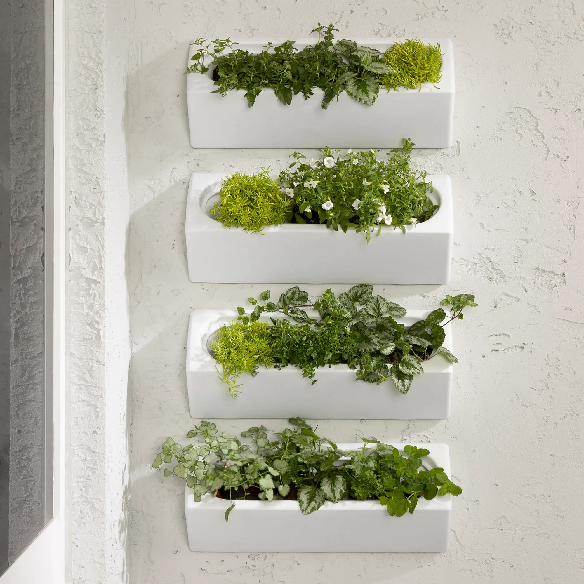 13801 Dalya White Wall Planters, Set of 4-3