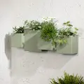 13808 Dalya Sage Green Wall Planters, Set of 2 - South Shore