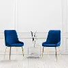 Nash Navy Velvet Diamond  Side Chair, Set of 2