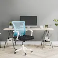 Workspace Ergonomic Teal Mesh Office Chair