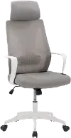 Workspace Gray and White Mesh Office Chair