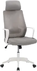 Workspace Gray and White Mesh Office Chair