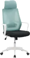 Workspace Teal and Black Mesh Office Chair