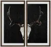 Deer Skull Framed Art