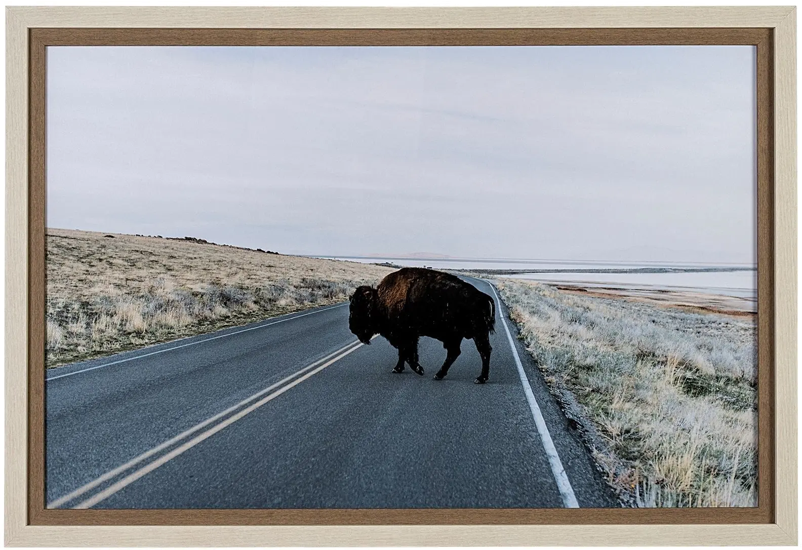 Bison Crossing Framed Art-1