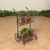 30.5  Metal and Wood Cart