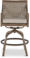AFE09011P04/SWVLSTLL Potomac Brown Patio Swivel Chair